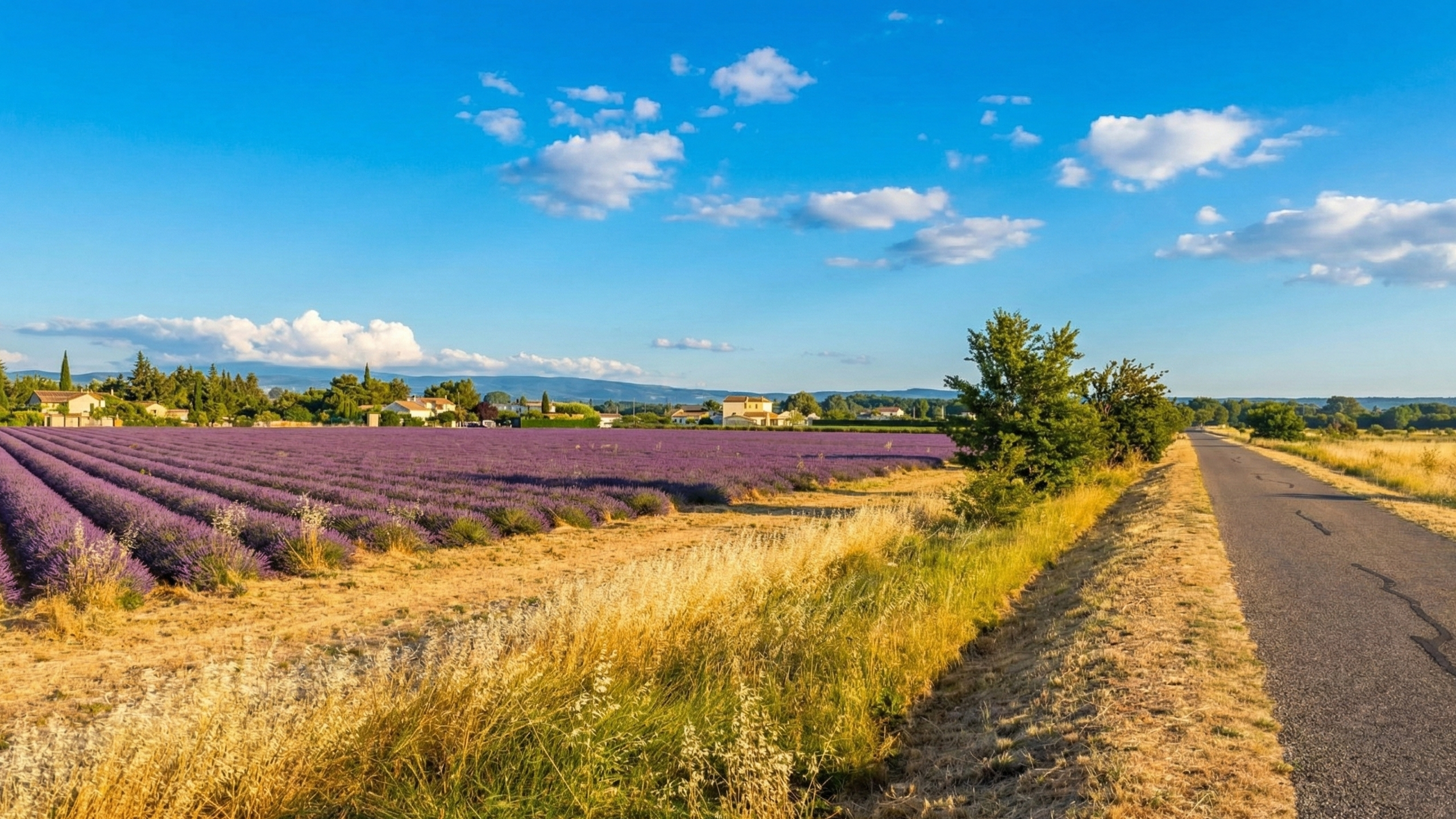 Photo 5 retraitée - Gemini